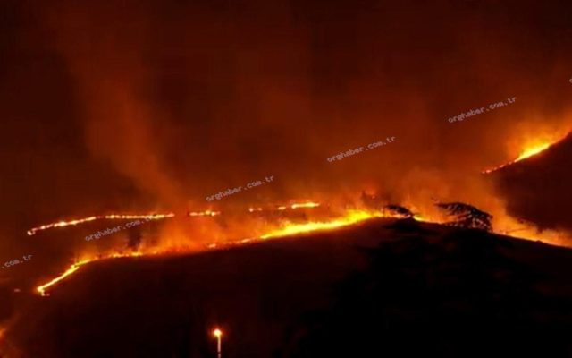 Ankara Mamak’ta ağaçlık alanda yangına müdahale sürüyor