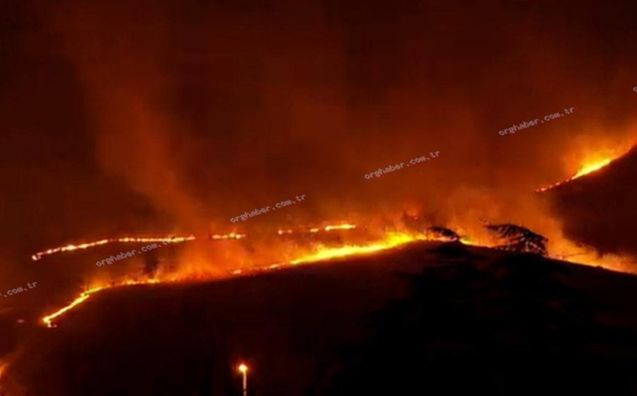 Ankara Mamak’ta ağaçlık alanda yangına müdahale sürüyor