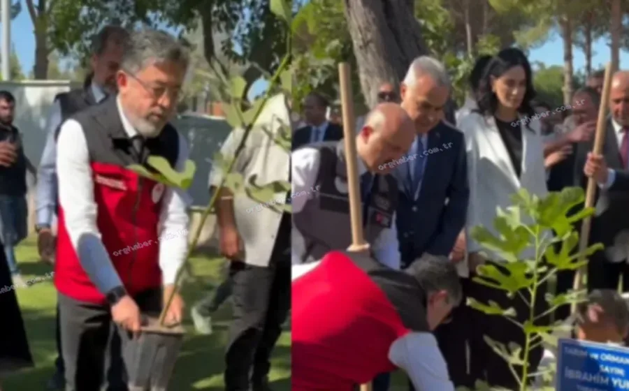 Tarım Bakanı fidanı saksısıyla toprağa dikti