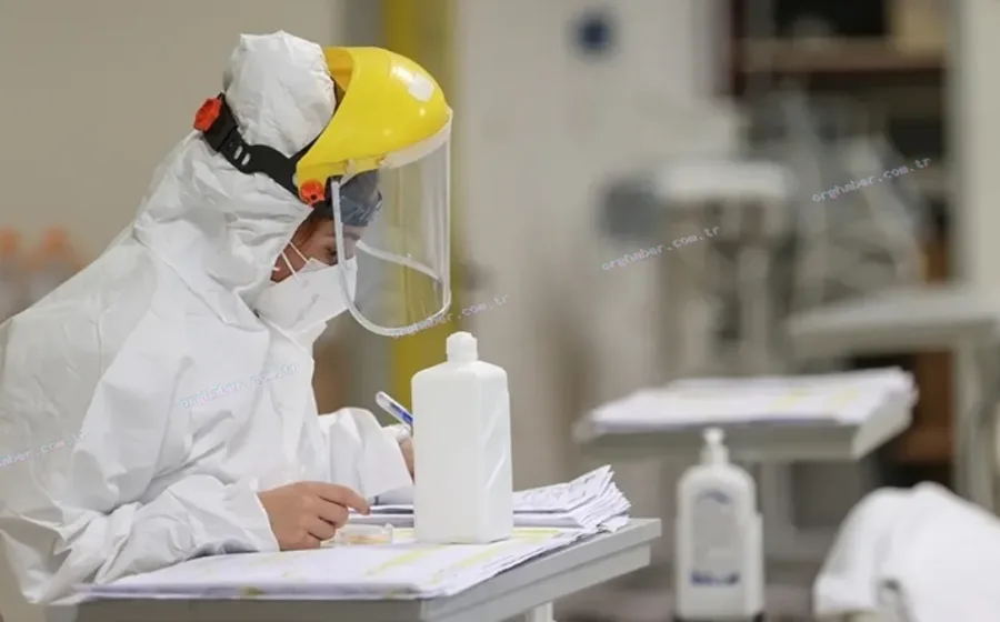 DSÖ: Kongo'da Ebola vakaları 6 bini aştı