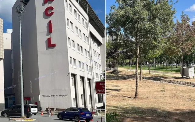 Boşanma aşamasındaki eş dehşeti: 11 yerinden bıçaklandı