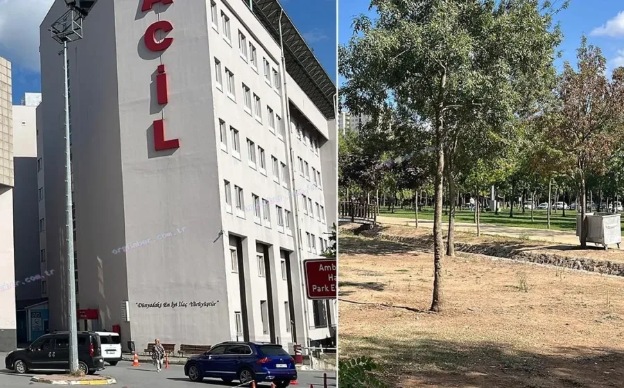Boşanma aşamasındaki eş dehşeti: 11 yerinden bıçaklandı
