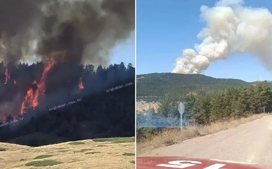 Ankara Kızılcahamam’da orman yangını: Ekipler müdahale ediyor
