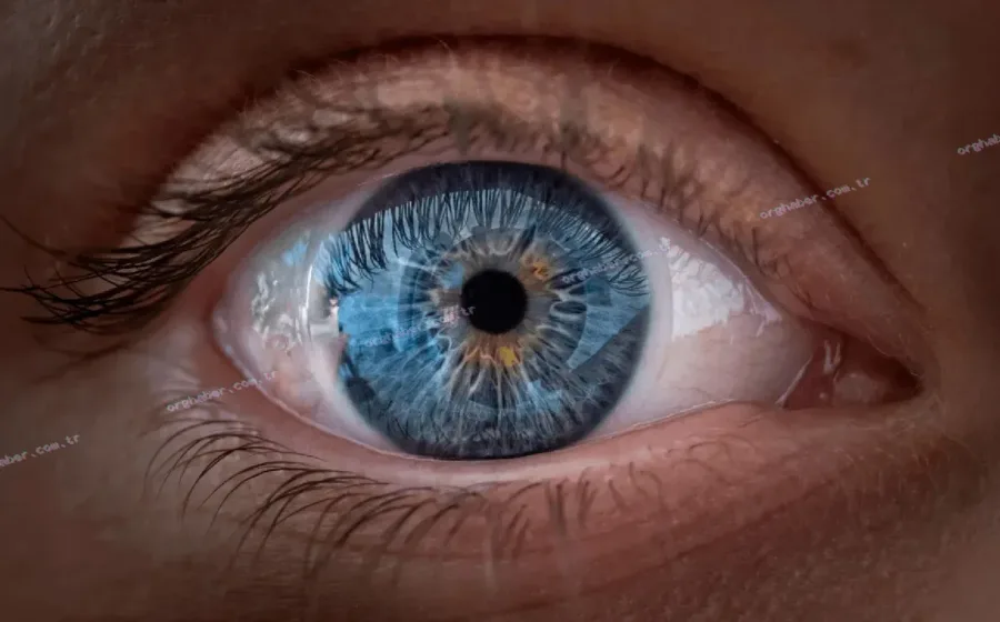 Retina taramasıyla gizli hastalıklar erken tespit edilebiliyor